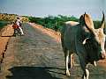 West-Indien 