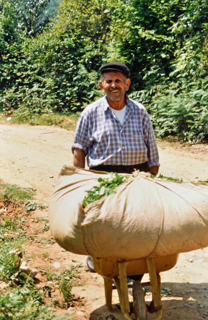 in den Sammelschuppen