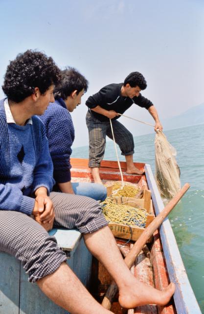 F&auml;den in der Hand