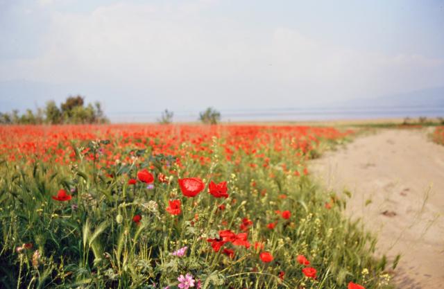 unterwegs durch Ungarn