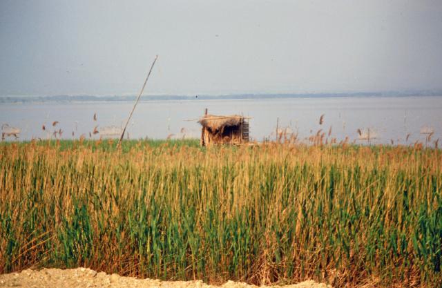 auf dem Campingplatz im mazedonischen Jugoslawien