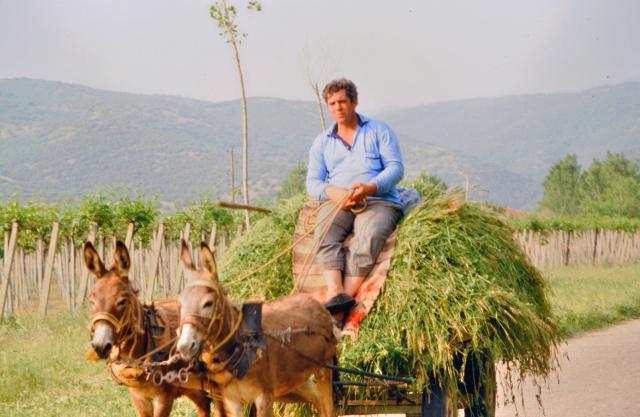 unterwegs im mazedonischen Teil Jugoslawiens