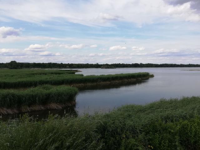 abendlicher Spaziergang zum Isar-Ufer