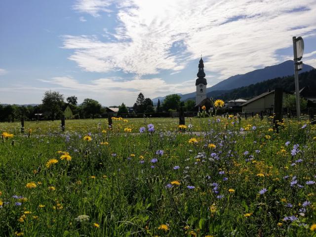 Abschied von Freistritz