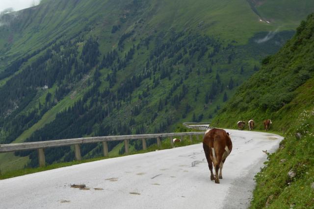 Abfahrt vom Sölkpass