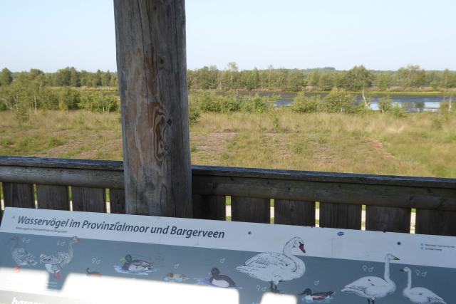 Aussicht von einem Beobachtungsturm in Bargerveen