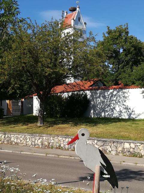 Storch in Langenau