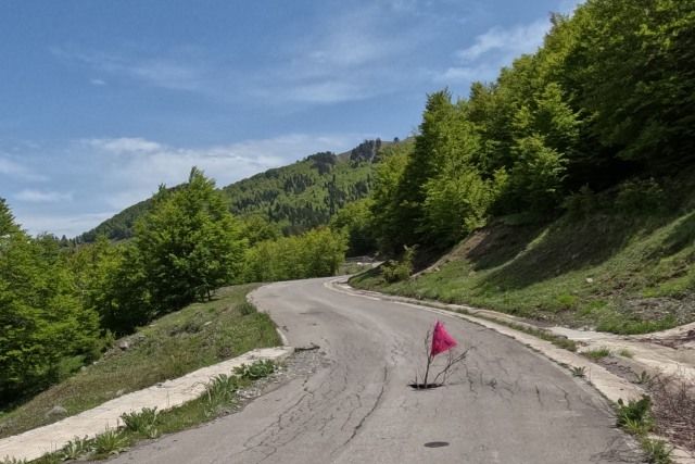 Fhnchen in einem tief ausgewaschenen Loch im Asphalt