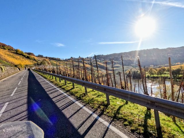 an der Mosel vor Piesport