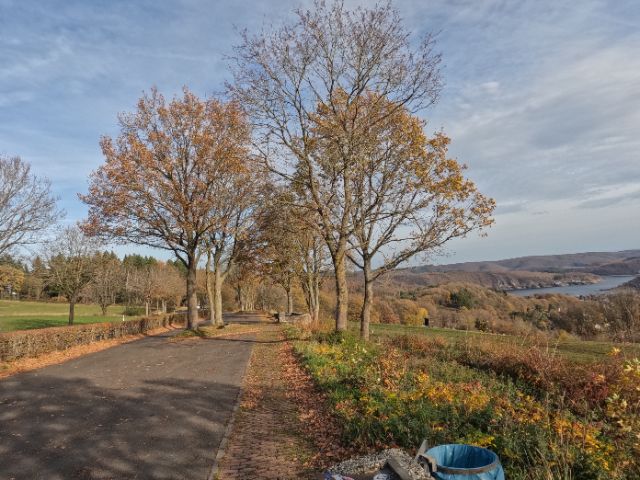 auf der Zufahrt zum Rursee