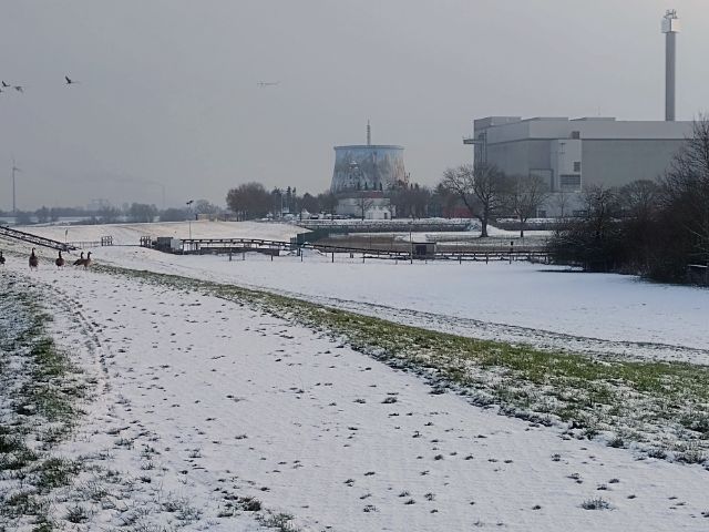 Blick auf den Schnellen Brüter,
