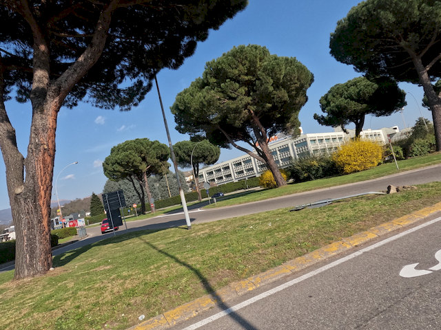 G0067544.JPG