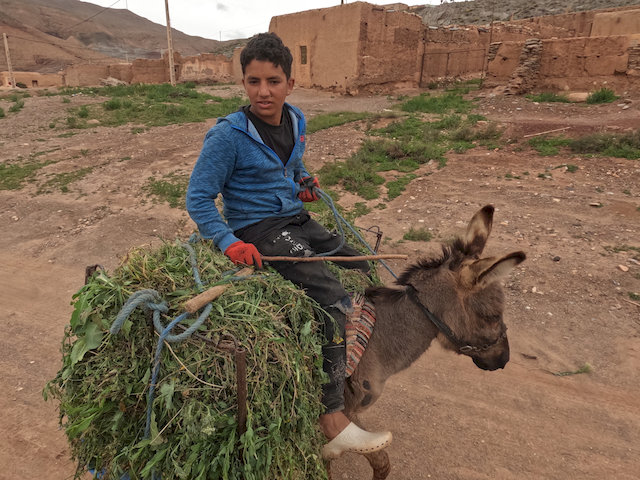 Und auch kleine Gesten zählen – ein verschenktes Hemd an einen Jungen auf einem Esel bleibt sicher in Erinnerung.