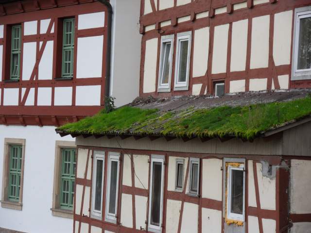 in Rotenburg an der Fulda