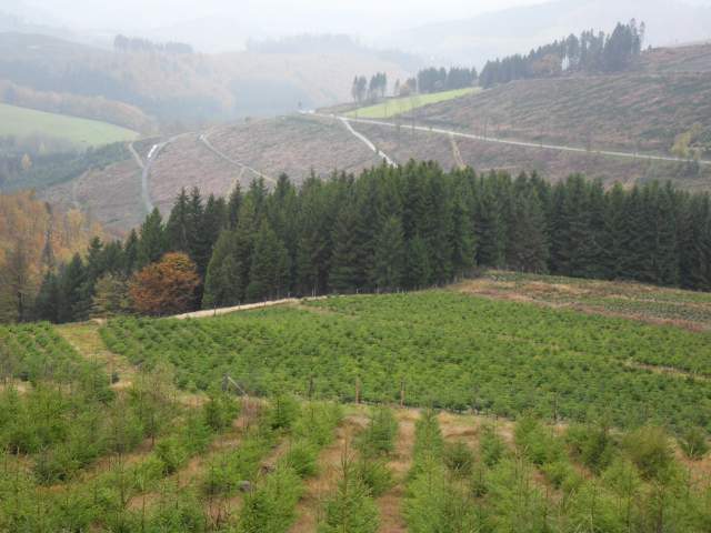 Stopp auf Sauerlands Höhen