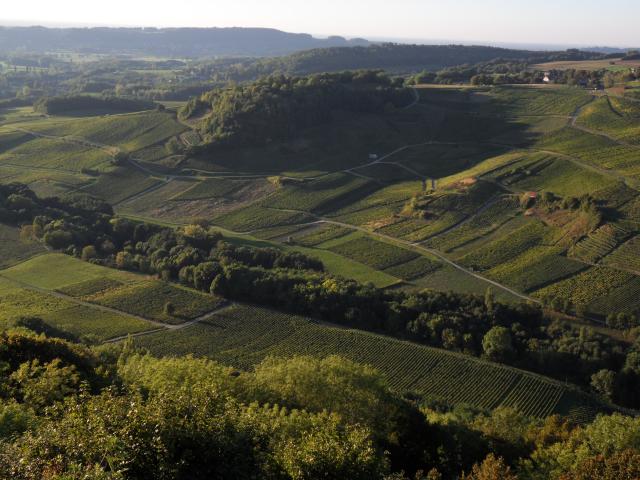 Weinanbaugebiete unterhalb von Château-Chalon