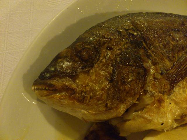 ein toter Fisch im Restaurante Minverva