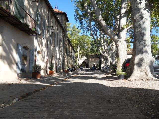 kopfsteingepflasterte Straße in Villeneuvette