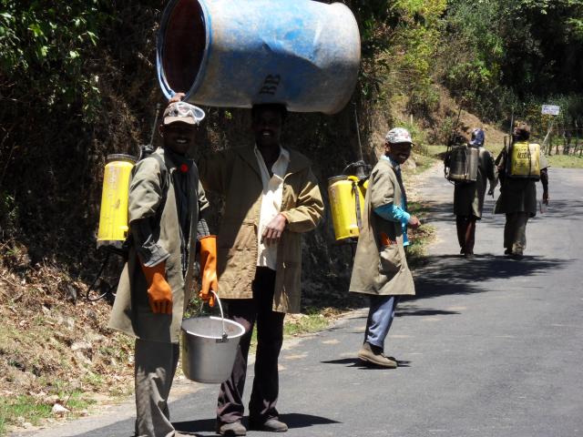 Teeplantagenarbeiter