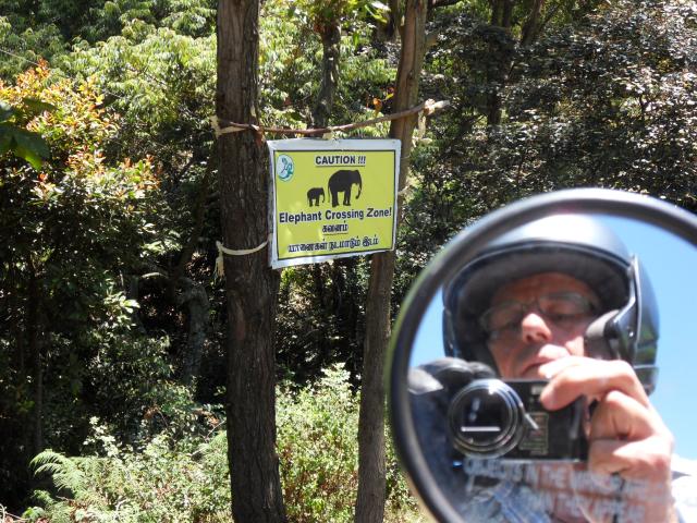 Warnung vor kreuzenden Elefanten