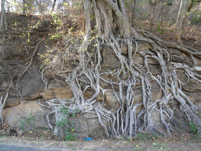 im Wildlife Sanctuary im Wildlife Sanctuary