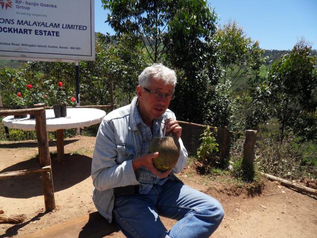 Eine Kokosnuss zur Erfrischung