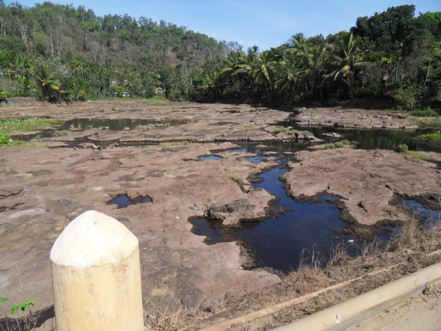 im Gebiet des Periyar Lake