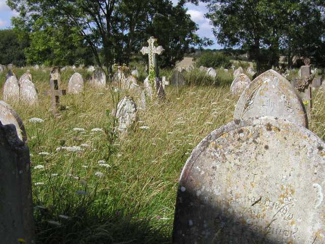Nur ein Klick zurück zur Bildübersicht !
