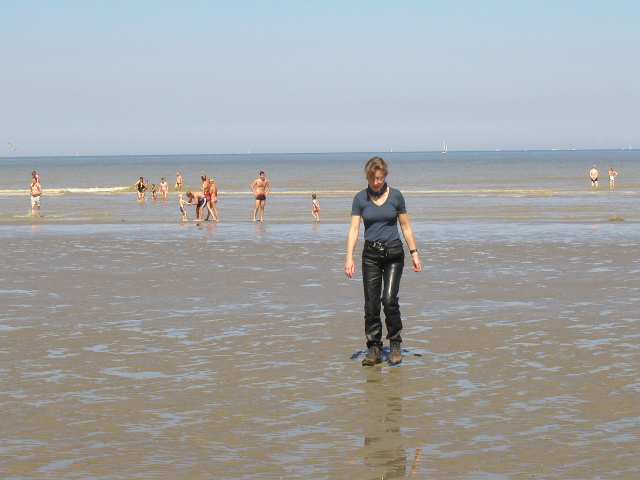 Nur ein Klick zurück zur Bildübersicht !