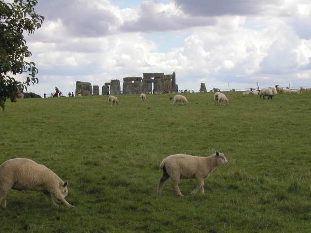 Nur ein Klick zurück zur Bildübersicht !