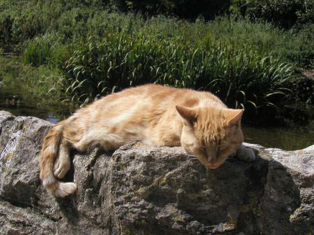 Nur ein Klick zurück zur Bildübersicht !