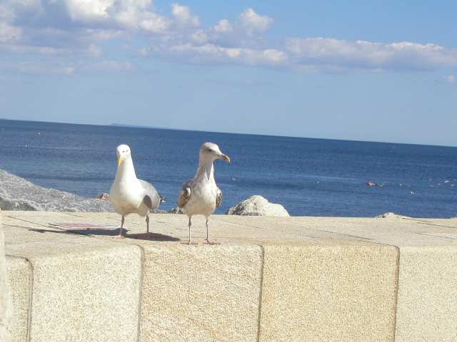 Nur ein Klick zurück zur Bildübersicht !