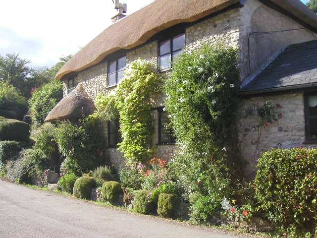 Nur ein Klick zurück zur Bildübersicht !