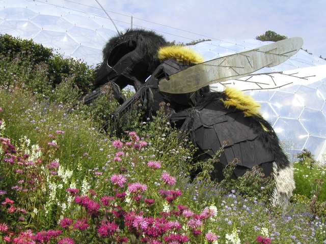 Nur ein Klick zurück zur Bildübersicht !