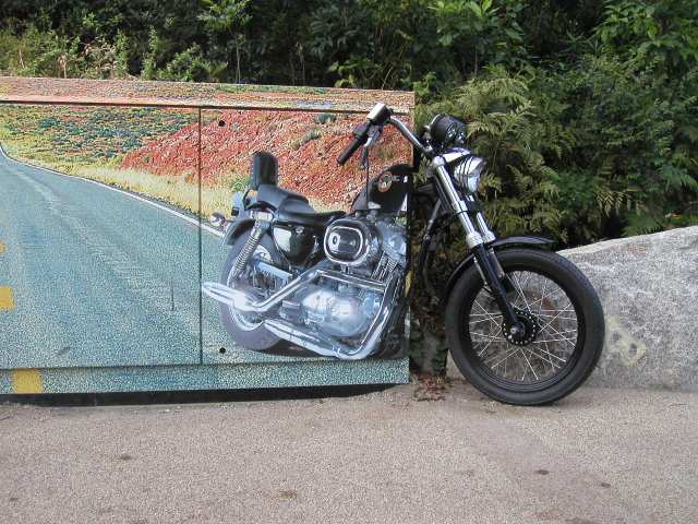 Nur ein Klick zurück zur Bildübersicht !