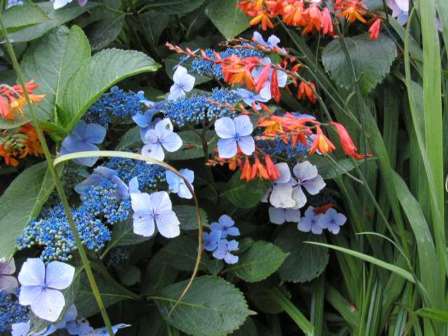 Nur ein Klick zurück zur Bildübersicht !