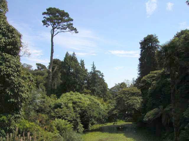 Nur ein Klick zurück zur Bildübersicht !