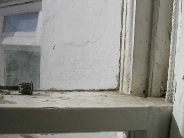 Nur ein Klick zurück zur Bildübersicht !