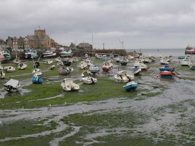 Nur ein Klick zurück zur Bildübersicht !