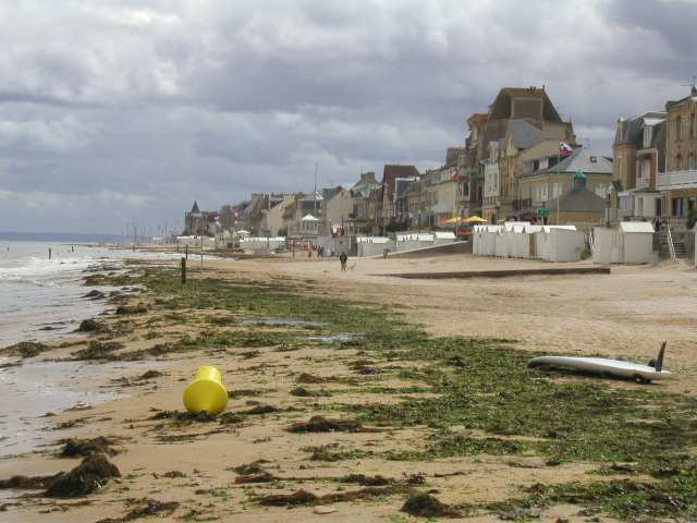 Nur ein Klick zurück zur Bildübersicht !