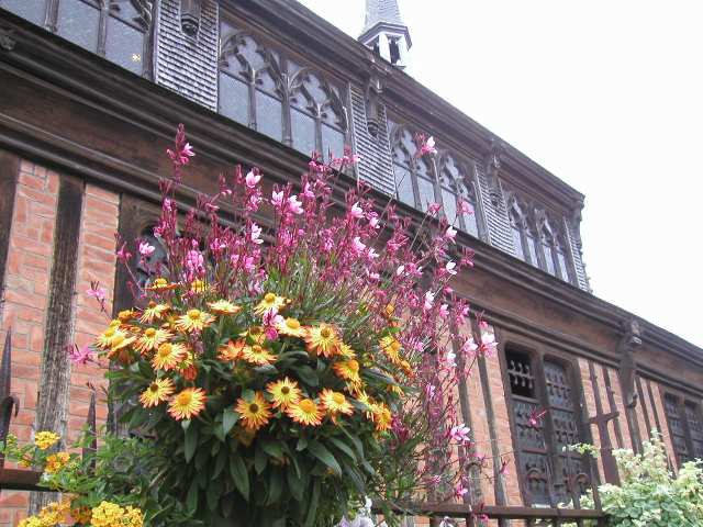 Nur ein Klick zurück zur Bildübersicht !