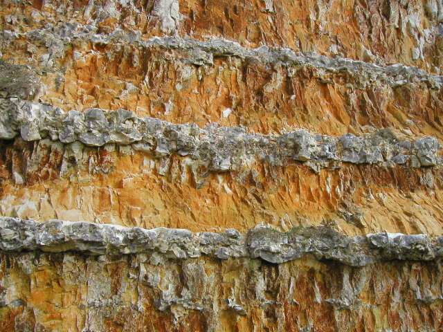 Nur ein Klick zurück zur Bildübersicht !