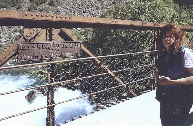 Wanderung vom Gipfel der Flam-Bahn wieder hinunter