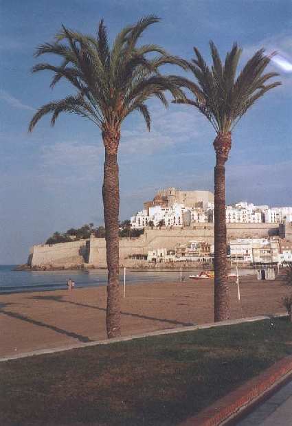 Nur ein Klick zurück zur Bildübersicht !