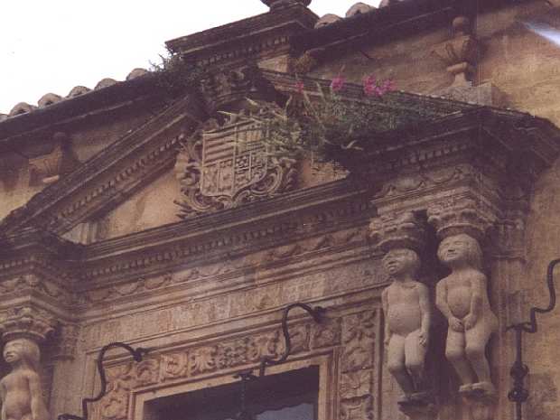 Nur ein Klick zurück zur Bildübersicht !