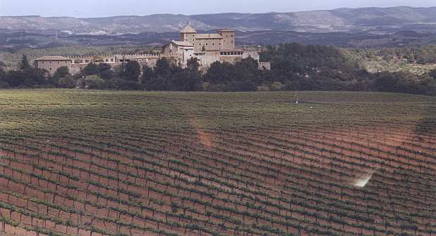 Nur ein Klick zurück zur Bildübersicht !
