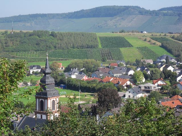 Blick auf Irsch an der Saar