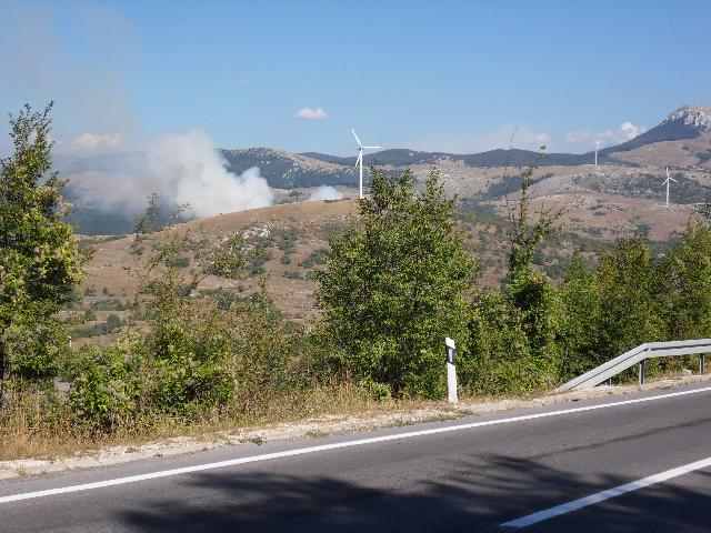 hohe Temperaturen - Waldbrandgefahr