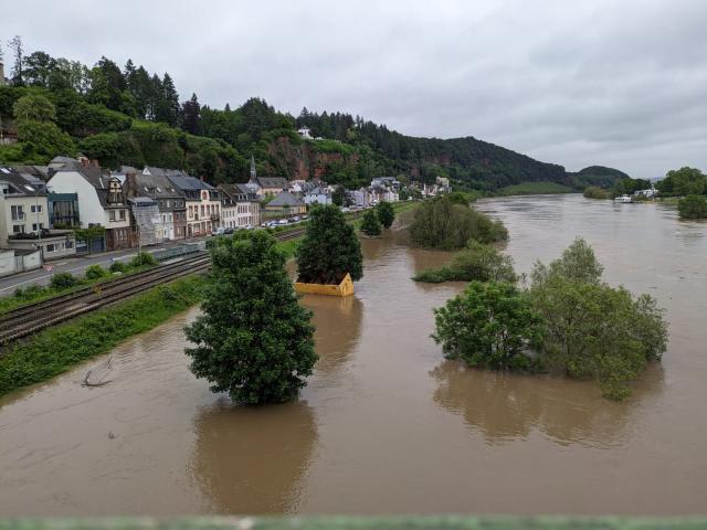 Die Mosel bei Trier -Pallien