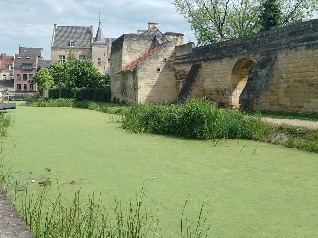 Von der mittelalterlichen Stadtmauer Valkenburgs sind noch bedeutende Reste erhalten. 